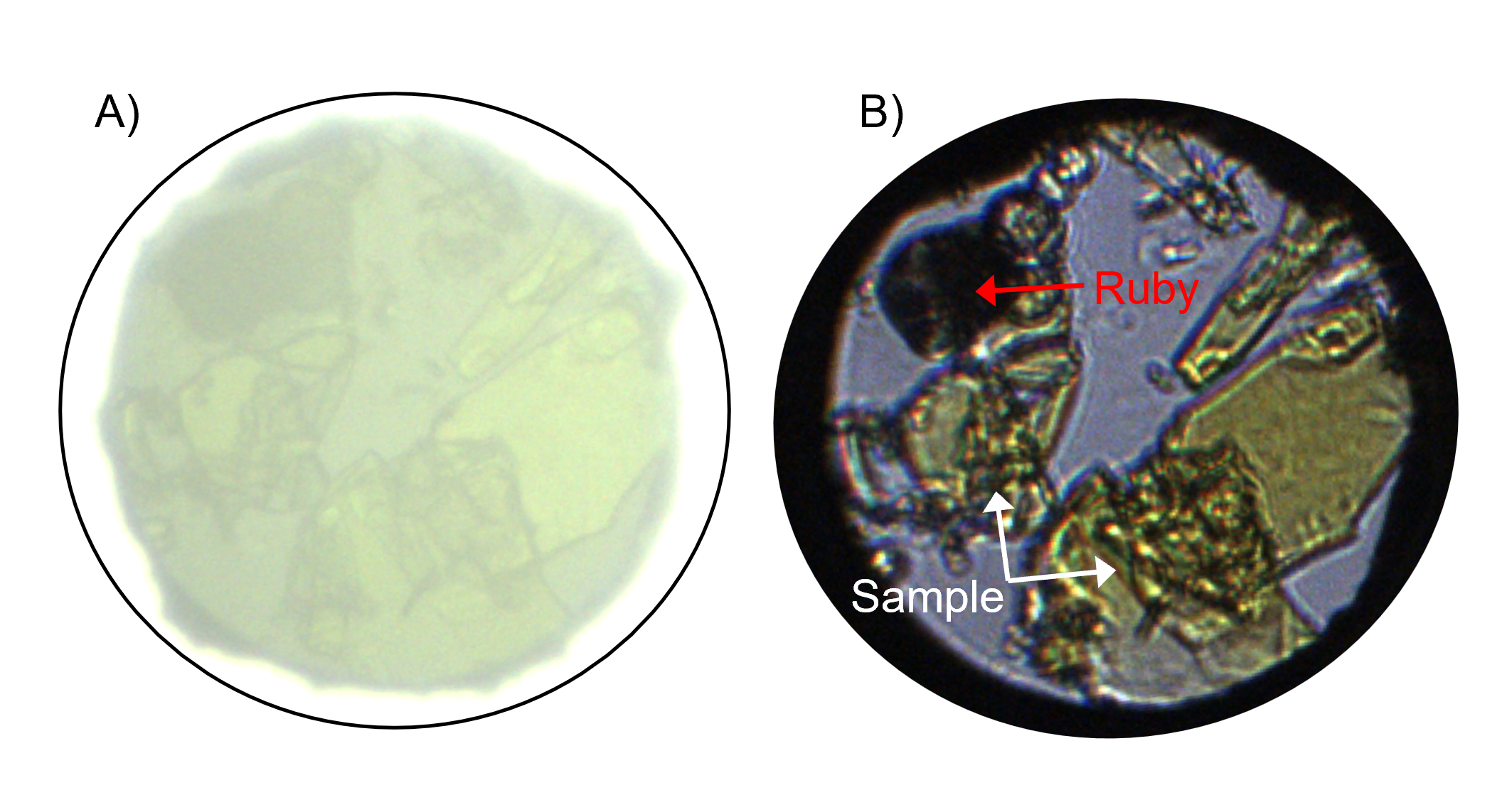 brightfield imaging of diamond anvil cell sample chamber