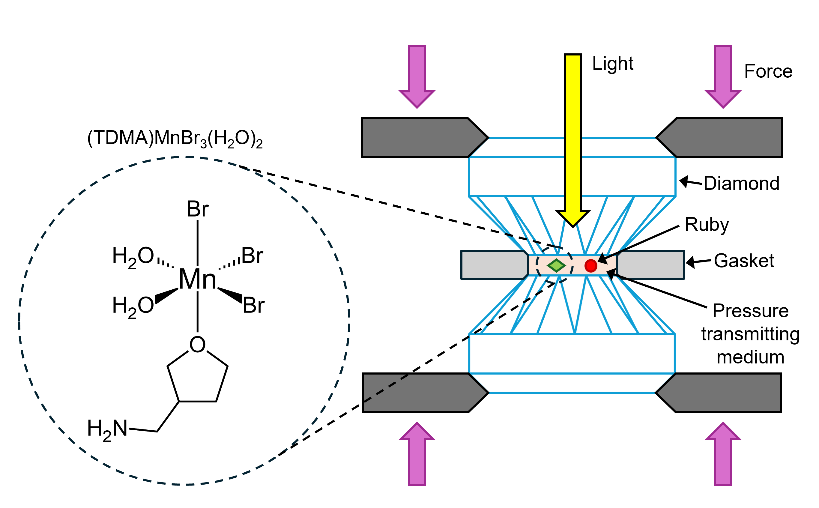 sample pressurised in a DAC