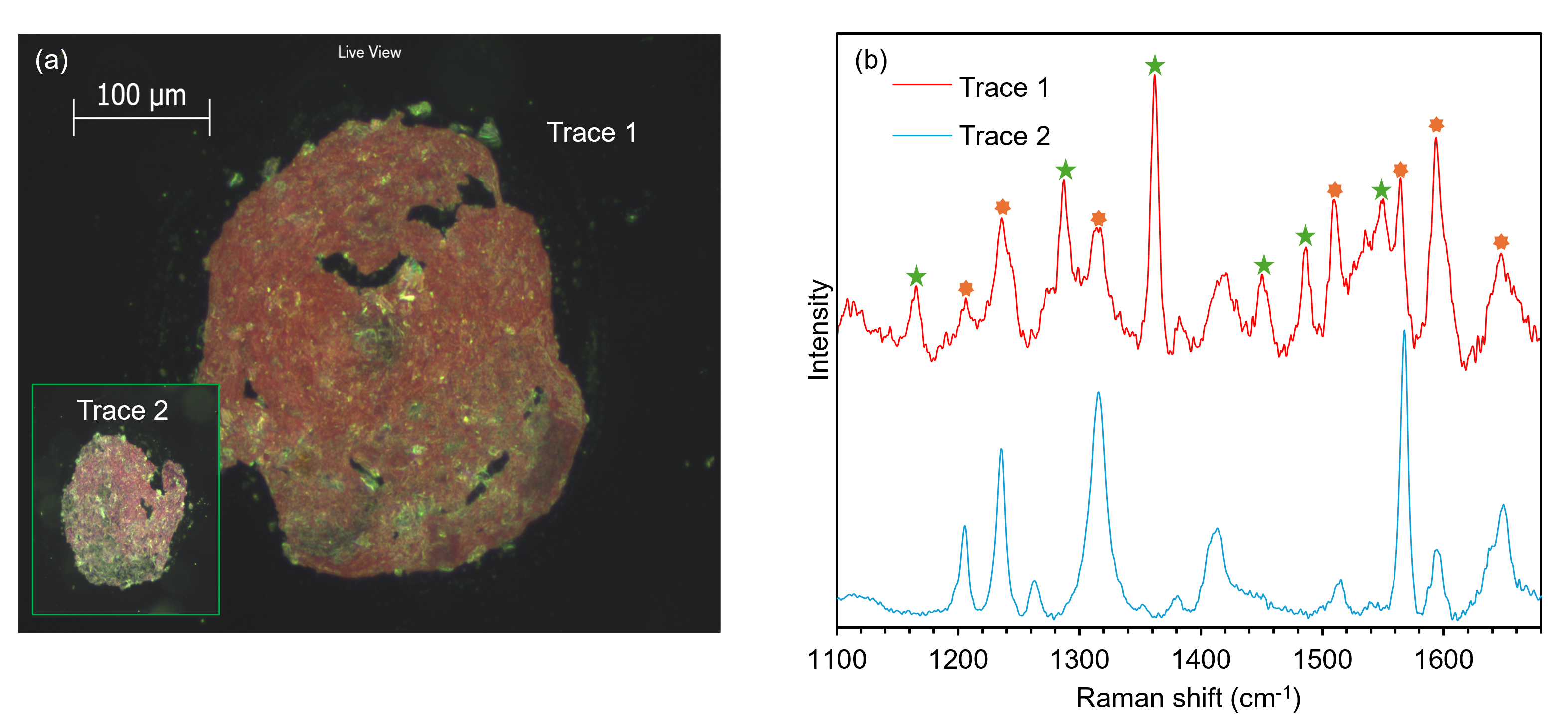 Raman spectra of visually similar paint traces