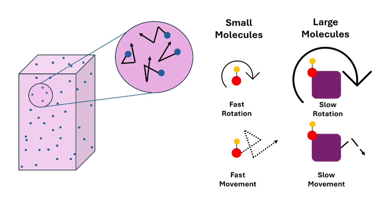 Brownian motion 