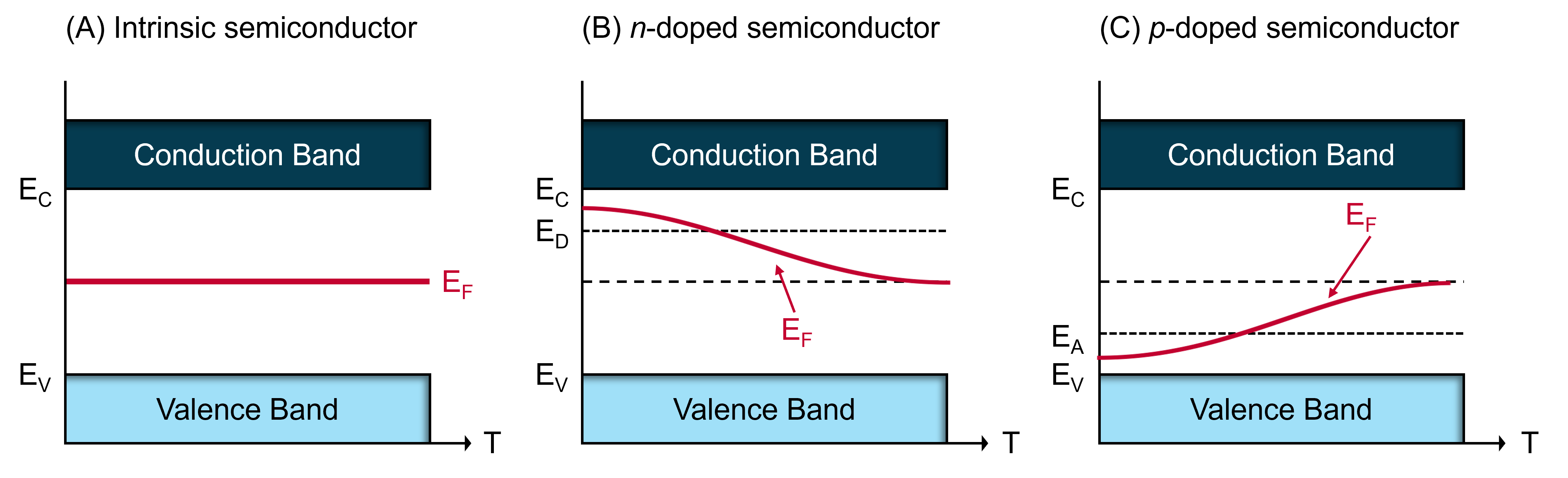 The relationship between the Fermi level, EF, and temperature in (A) intrinsic, (B) n-doped, and (C) p-doped semiconductors. 