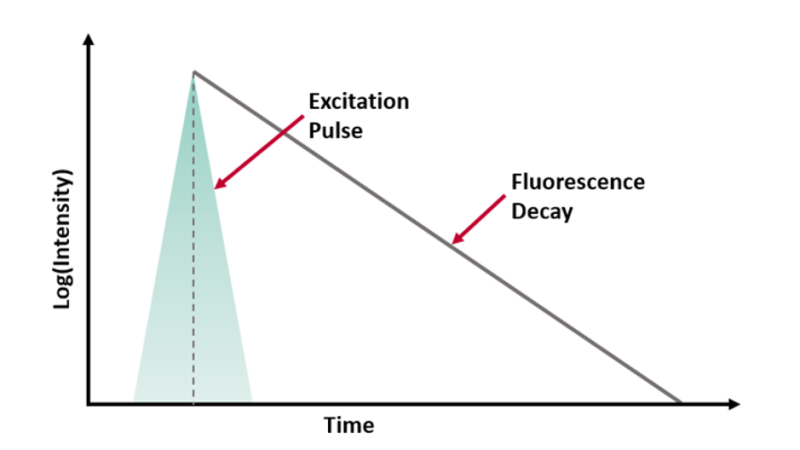 BLOG-COVER-Determining-Fluorescence-Lifetime