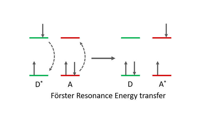 Quenching_FRET_Blog_Feature_Image