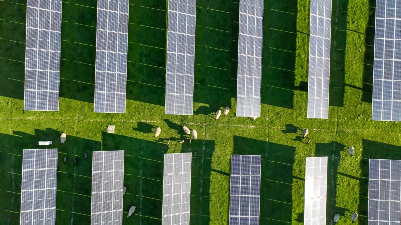 Solar panels on field in summer, aerial drone view.